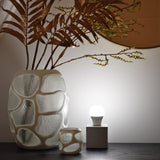 Calex Smart LED GLS-lamp A60 E27220-240V 8,5W 806lm 2200-4000K+RGB