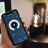 Calex Smart LED Filament Smokey Globe-lamp G125 E27 220-240V 7W 400lm 1800-3000K,  Golden cap, energy label A