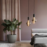 Calex Smart XXL Organic EVO  Titanium 220-240 6W 120LM 2100K E27, energy label B