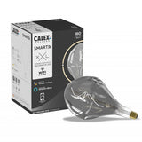 Calex Smart XXL Organic EVO  Titanium 220-240 6W 120LM 2100K E27, energy label B