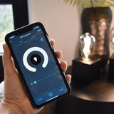 Calex Smart LED Filament Smokey Rustic-lamp ST64 E27 220-240V 7W 400lm 1800-3000K, Golden cap, energy label A